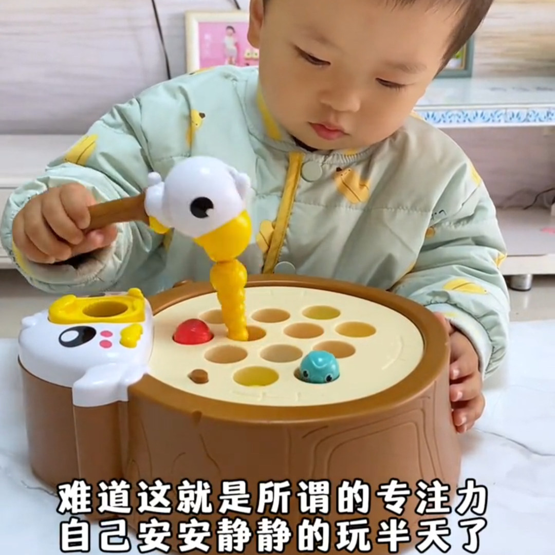 磁力玩具捉虫玩具小鸟磁吸虫子磁性儿童玩具礼物配对益智