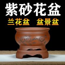 宜兴精品紫砂花盆君子兰悬崖兰花专用客厅阳台带底座托盘陶瓷花盆