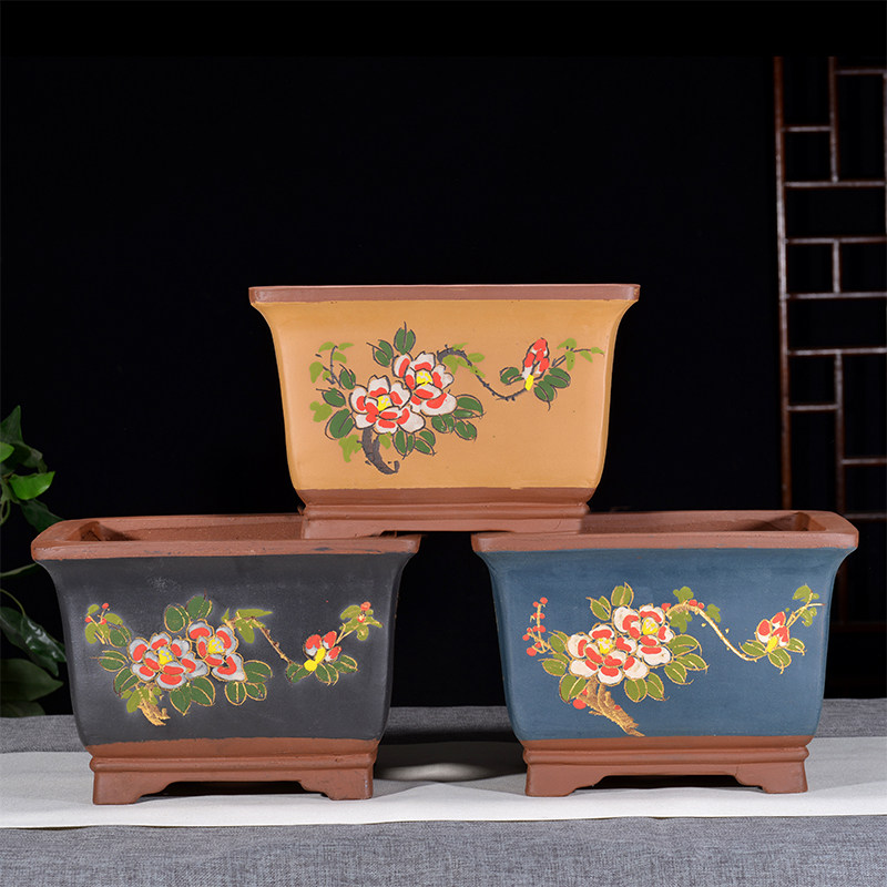 带紫砂托盘精品兰花盆老桩花盆图片