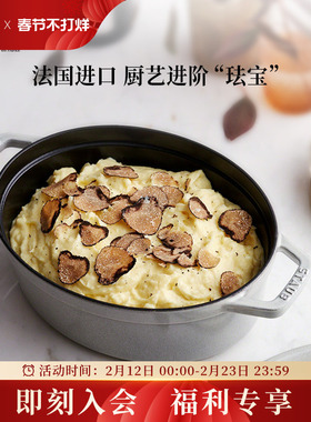 staub珐宝27cm椭圆形家用厨房珐琅铸铁锅煲汤炖锅电磁炉燃气适用