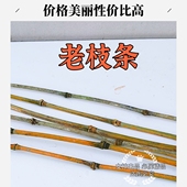 楠竹毛竹新鲜枝条实心竹竿教鞭教师专用上课打狗防身软竹鞭子训练