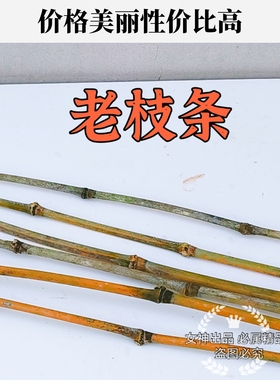 楠竹毛竹新鲜枝条实心竹竿教鞭教师专用上课打狗防身软竹鞭子训练