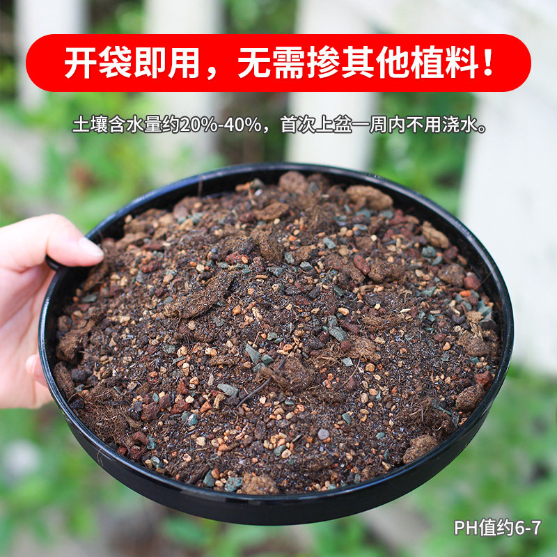 美莳多肉土专用颗粒土植物营养土赤玉土培养土进口泥炭土铺面石头