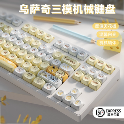 前行者乌萨奇无线三模机械键盘