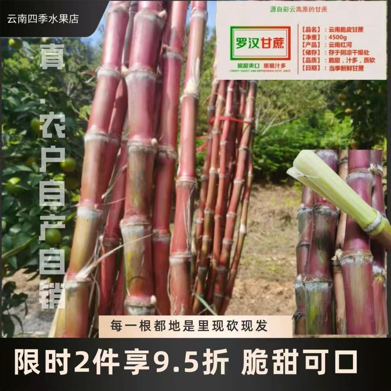 脆甘蔗脆皮9折罗汉甘蔗云南特产