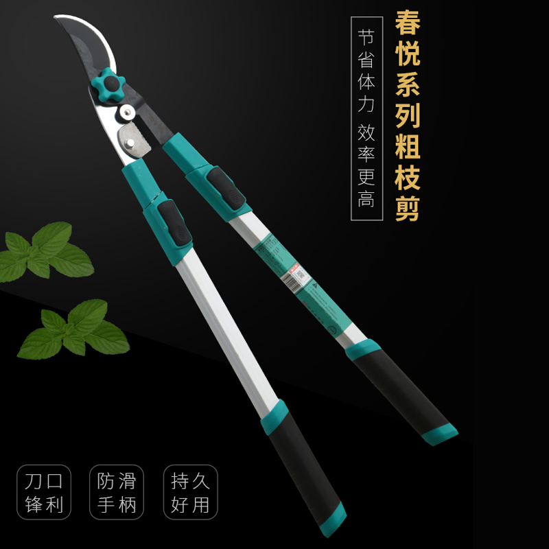 张小泉园艺大剪刀园林强力果树修剪树枝绿篱剪草坪绿化修花修枝剪