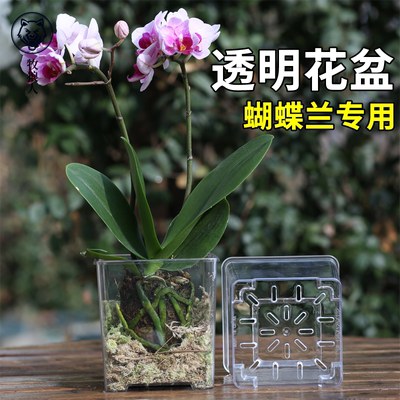 牧狼人亚克力方形透明花盆塑料种植盆凤仙花蝴蝶兰向日葵专用套盆