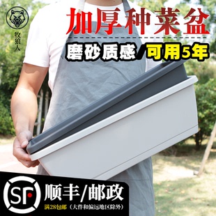 霍伦种菜盆长条花盆阳台家庭种菜神器室内特大蔬菜长方形种植槽