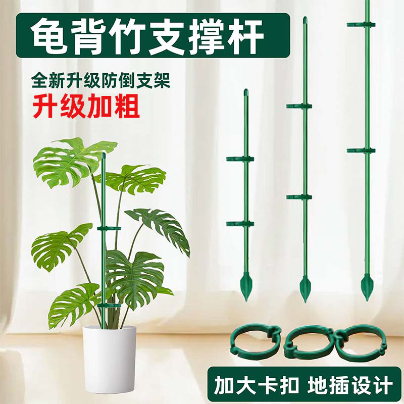 龟背竹花支架兰夹子支撑杆植物爬藤花卉弯曲固定专用铁丝支架园艺