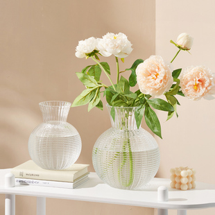 轻奢高端玻璃透明水养花瓶摆件客厅插花北欧现代简约电视柜装 饰品