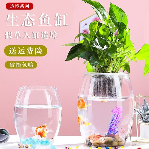 圆形玻璃办公室桌面水培乌龟缸