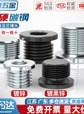 发黑内六角法兰面堵头带边管堵螺塞M8M10M12M20-M60*1/1.25/1.5/2