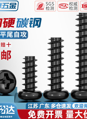PB加硬铁碳钢黑色圆头十字平尾自攻螺丝盘头小螺钉M1M1.2M2M3M4mm