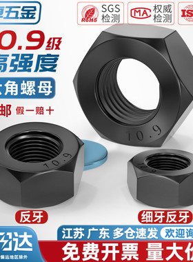 10.9级反牙细牙螺母细丝细扣六角螺母m10*1m12*1.5m16m20m24*2m27