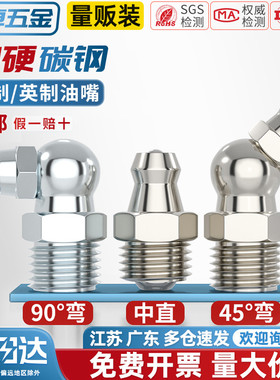 铁镀镍黄油嘴 铁油嘴头注油嘴黄油枪头弯油嘴 M6M8M10M12M14 G1/8