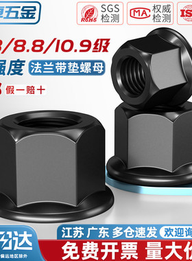 加高法兰面带垫螺帽六角厚螺丝母模具压板母M10M12M16M20M22-M30