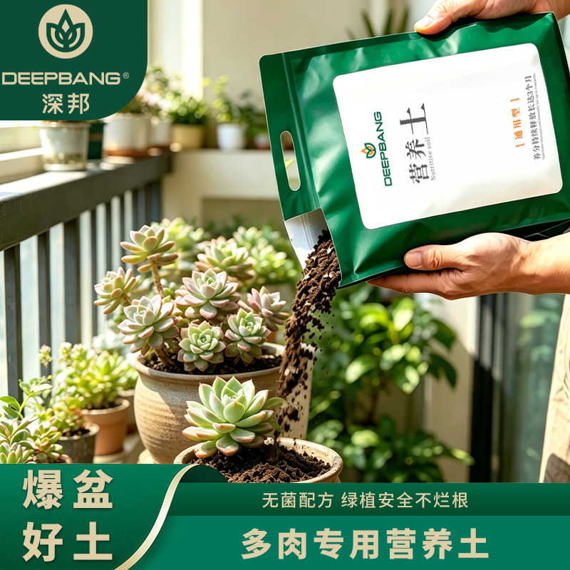 多肉专用营养土玉露九尾狐种植土盆栽养花土家用泥炭土有机土土壤 - 实物图