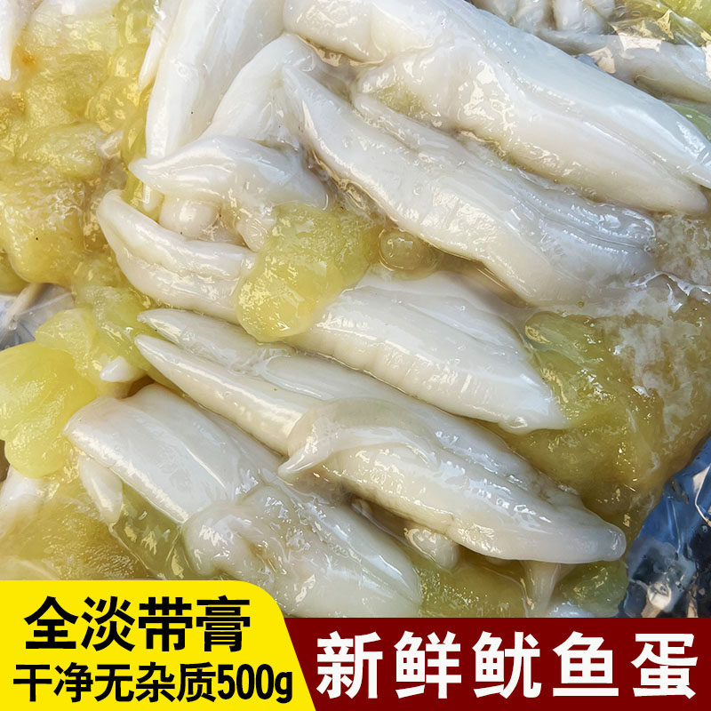 新鲜鱿鱼蛋全淡无盐500g野生鱿鱼卵带膏尤鱼蛋舟山特产新鲜鱿鱼蛋