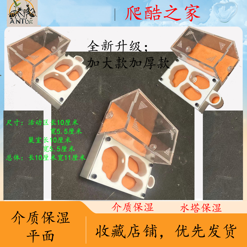 蚂蚁工坊宠物蚂蚁巢饲养繁殖蚁巢仿生态蚁巢后院石膏封闭款介质