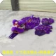 10 -INCH Bubble Lion Country Tide Purple+две брюки