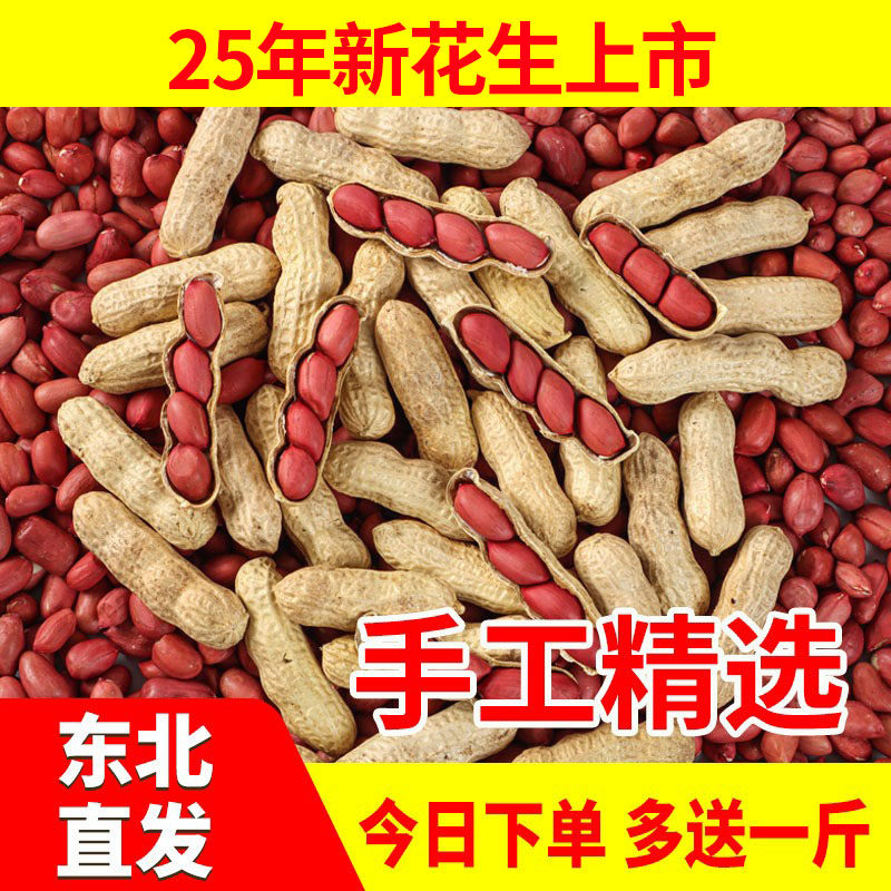 红皮花生2025年农家自种晒干带壳生花生红衣生熟可选炒货原味