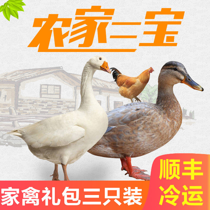 农家散养家禽农村现杀大鹅土鸡土鸭大白土鹅肉新鲜大公鸡老母鸡肉