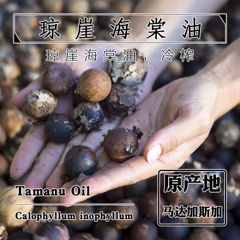 琼崖海棠油50mL/1000mL