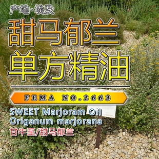 甜马郁兰精油5mL/15mL