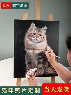 饰 数字油画宠物猫咪照片diy定制手工油彩画画动物填色填充手作装