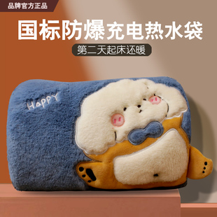 热水袋充电式 冬天可爱女生毛绒暖手神器 暖宝宝防爆暖手宝2024新款