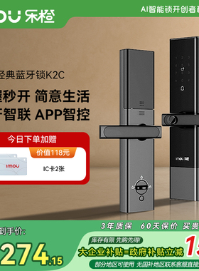 乐橙AI智能门锁指纹家用临时密码防盗电子蓝牙密钥机械钥匙K2C