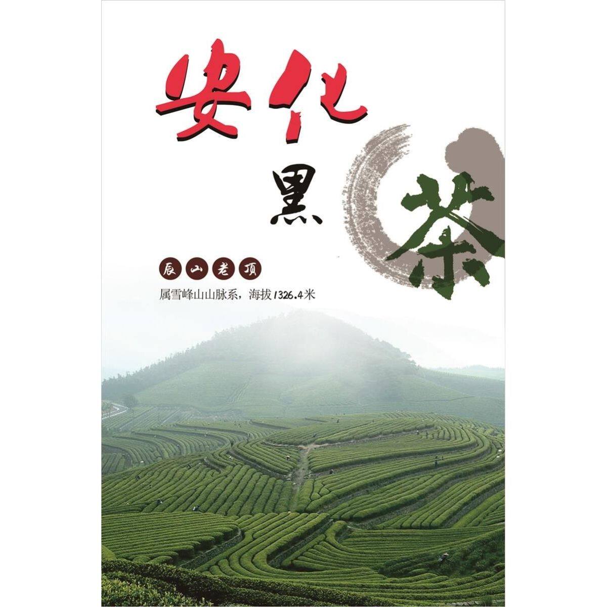 安化黑茶海报展板安化黑茶九大功效华菜健黑茶九大功效墙贴墙纸