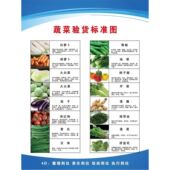 4D食物蔬菜肉水产干货食品验收标准厨房肉类蔬菜验收标准图海报