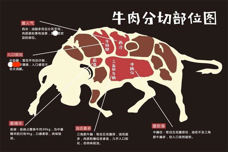 牛肉分割图海报贴纸墙贴鲜牛肉分解图壁画排酸牛肉分解图海报贴纸