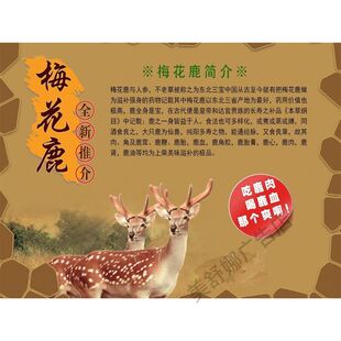 新鲜梅花鹿肉海报贴纸墙贴画鹿场鹿肉店简介背景墙装饰画防水自粘
