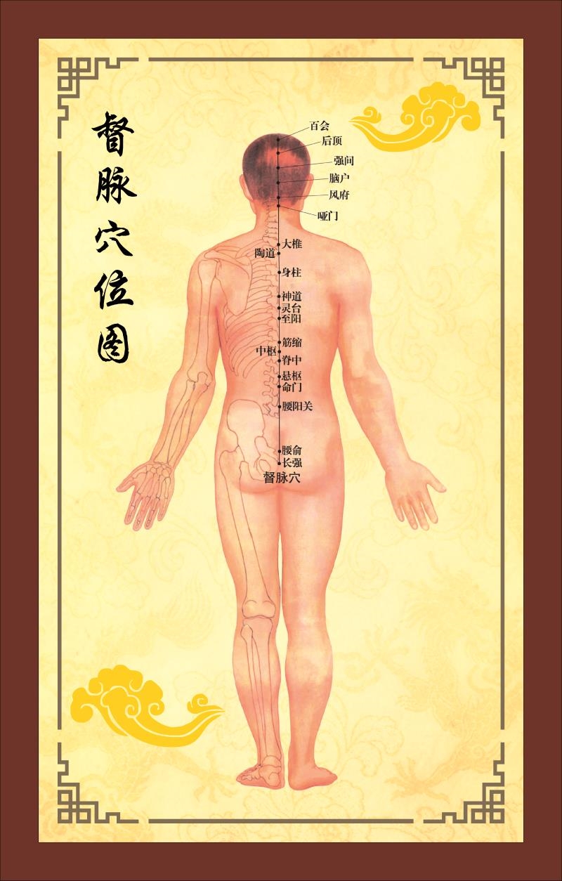 中医养生人体经络穴位图大挂图全身高清穴位艾灸推拿背部脚背针灸