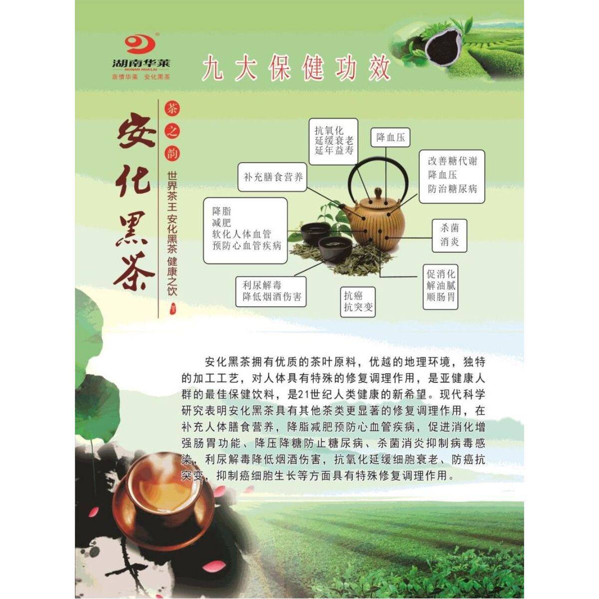 九大保健功效海报展板黑茶金花安化冰碛岩墙贴墙纸挂图装饰画富硒
