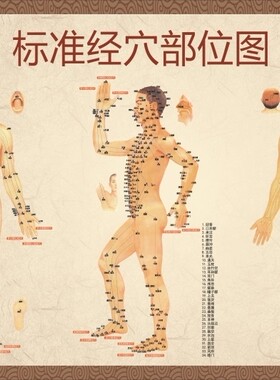 标准经穴部位图人体十二12经络穴位图解任督二脉中医养生挂图海报