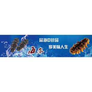 海参功效海报野生海参宣传画广告滋补品店墙壁装饰画海产品贴画