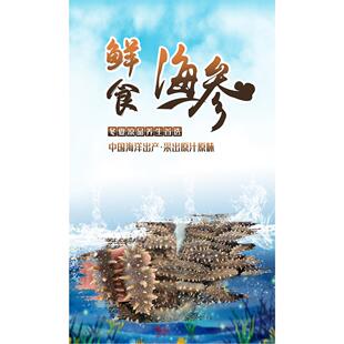 即食海参海报展板四物入味即食海参墙贴纸中国海洋出产KT板