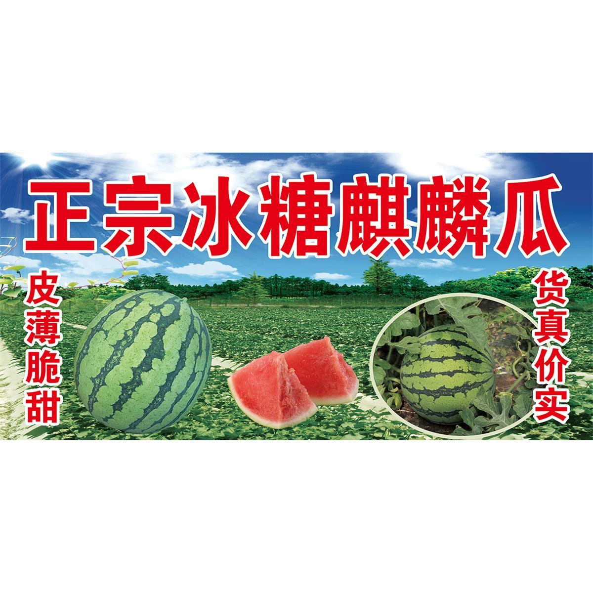 正宗冰糖麒麟瓜广告海报西瓜小推车摆摊夜市小吃装饰自粘海报定制