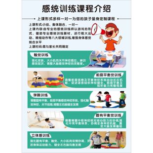 儿童感统训练全脑开发装饰挂画教育培训机构墙贴纸感觉统合海报