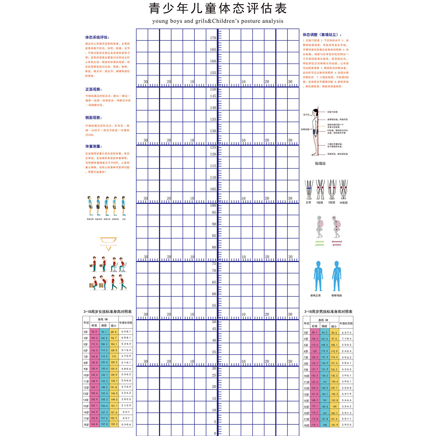 青少年儿童体态评估表调整身高对照表海报定印制展板贴纸kt板