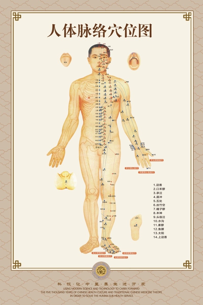 中医养生人体经络穴位图大挂图全身高清穴位艾灸推拿背部针灸墙贴