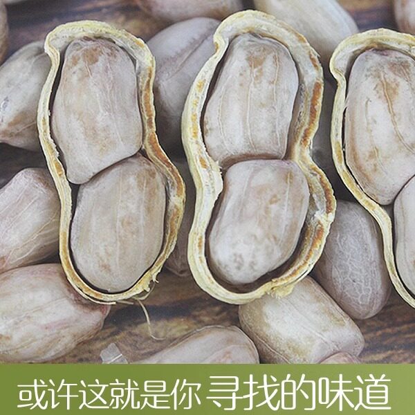 21新散广东天然水花生咸干咸酥湿