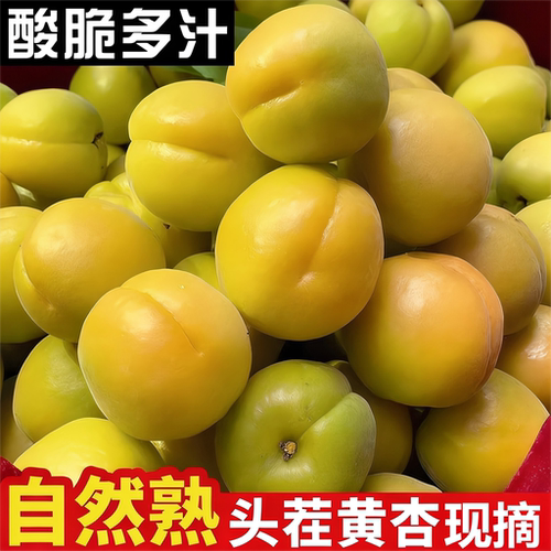 现摘杏子新鲜水果整箱黄杏当季孕妇酸甜脆杏整箱大蜜杏包邮
