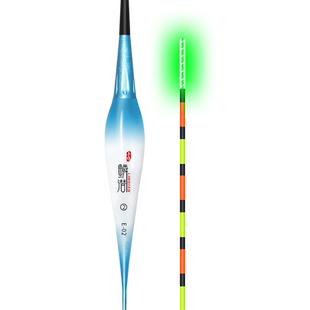 一目亮夜光漂日夜两用电子漂纳米加粗空心尾浮漂高灵敏一点亮鱼漂