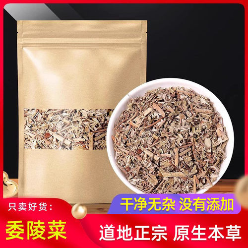 野货委陵菜正品中药材委陵菜新货
