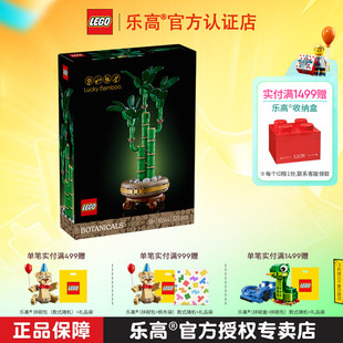 LEGO乐高D2C系列10344富贵竹男孩女孩拼搭积木玩具桌面摆件