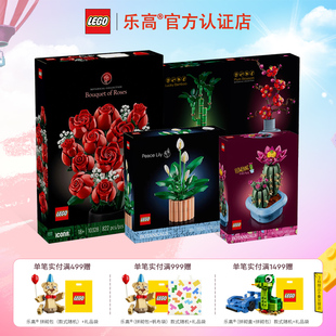 LEGO乐高10280花束繁花玫瑰朵鲜花永生花女孩子拼装 积木玩具礼物